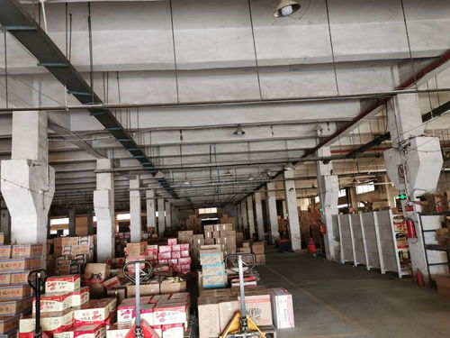 深圳市工廠樓板承重檢測與規(guī)范報告技術服務